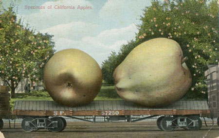 Tall-Tale Vintage Postcards Image